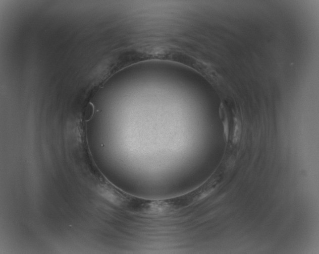 X0000068280612200604211113