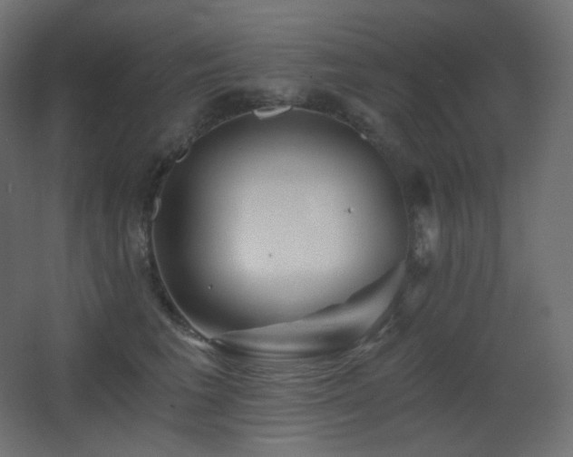 X0000068280613200604211113