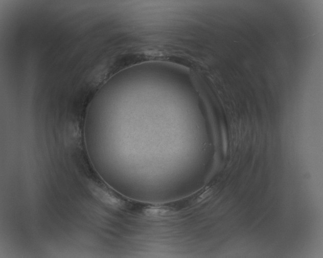 X0000068280614200604211113