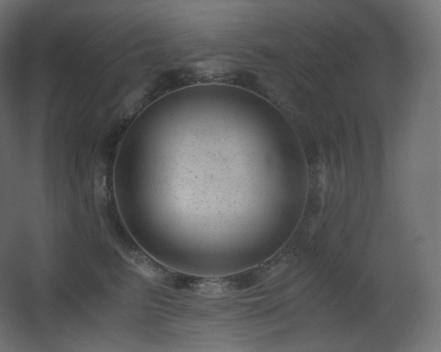 X0000068280615200604211113