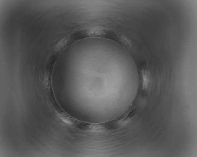 X0000068280619200604211113
