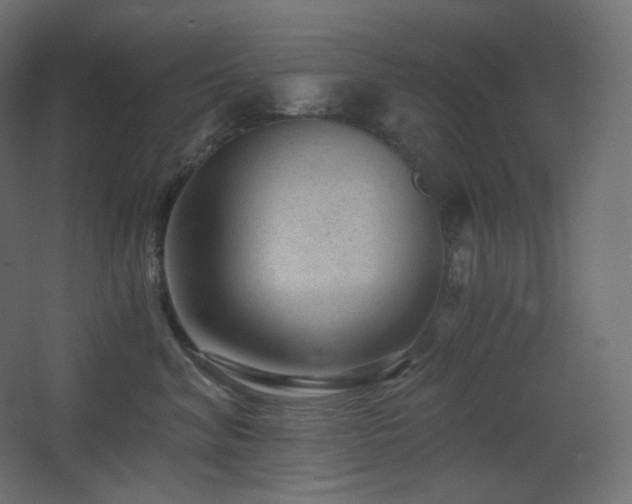 X0000068280620200604211113