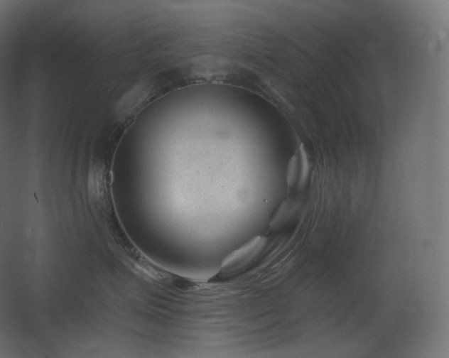 X0000068280623200604211112