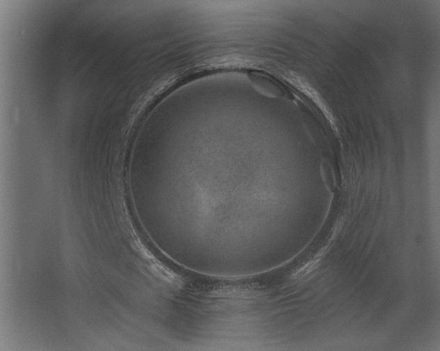 X0000068280625200604211112