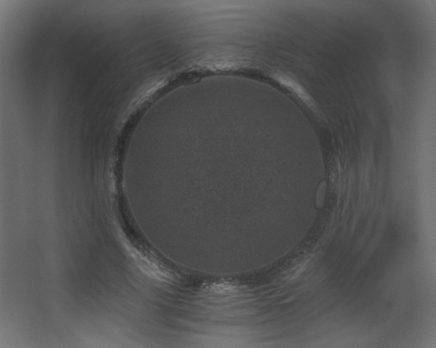 X0000068280635200604211112