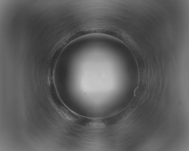 X0000068280644200604211112