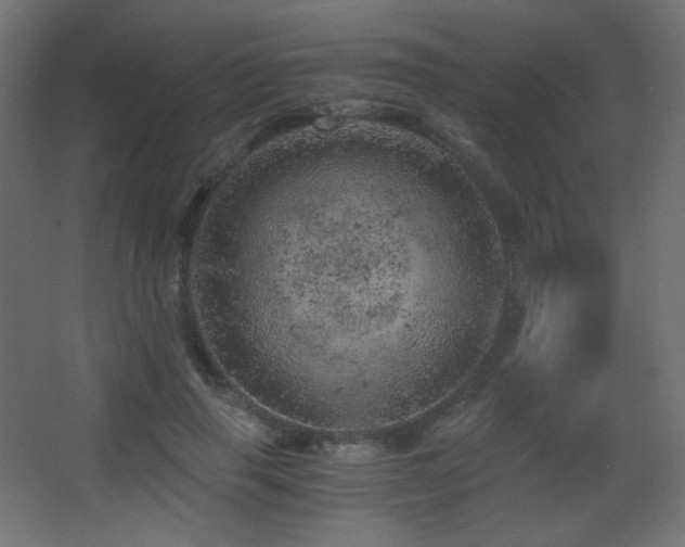 X0000068280645200604211112