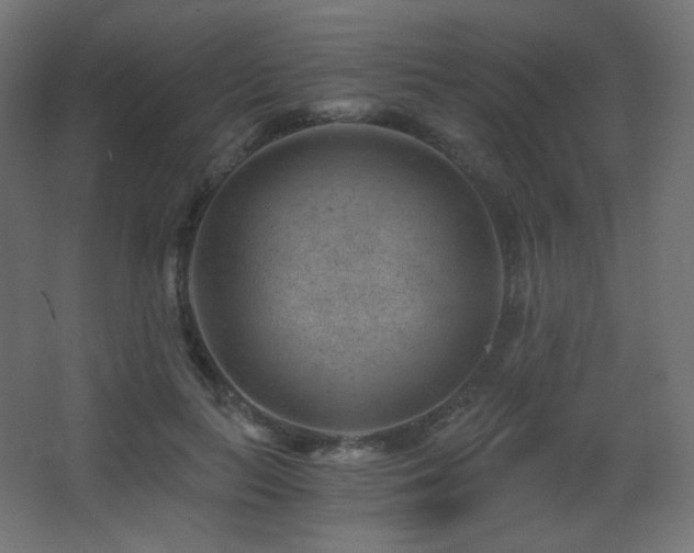 X0000068280647200604211112