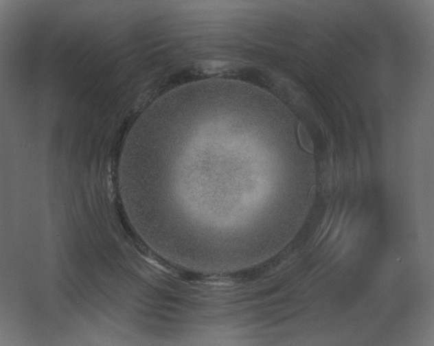 X0000068280653200604211112