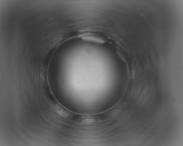 X0000068280658200604211112