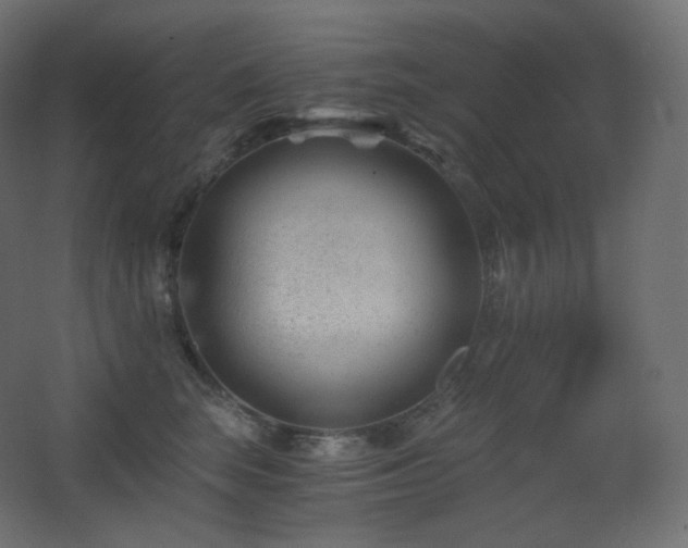 X0000068280663200604211112