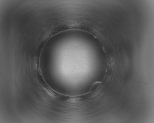 X0000068280664200604211112