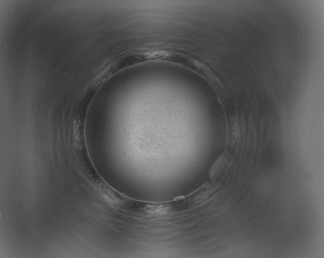 X0000068280667200604211112