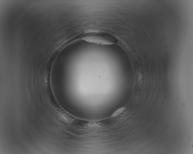X0000068280668200604211112