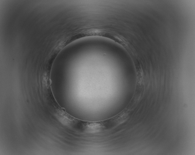 X0000068280669200604211112