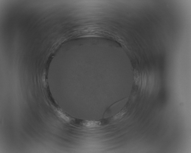 X0000068280670200604211112