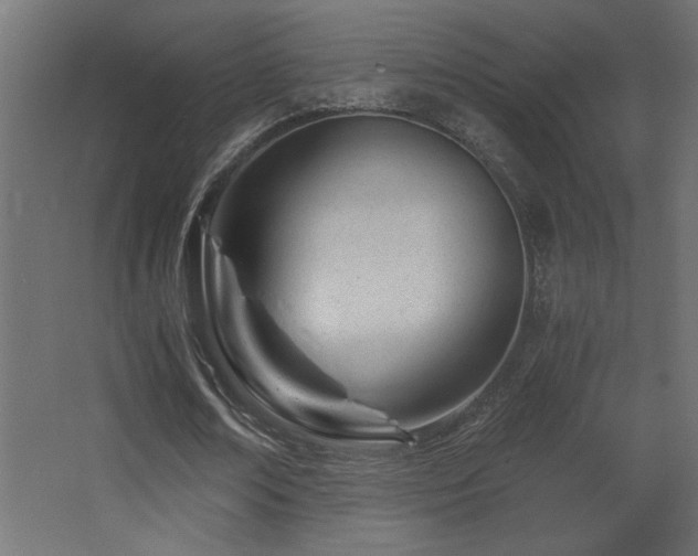 X0000068280674200604211112