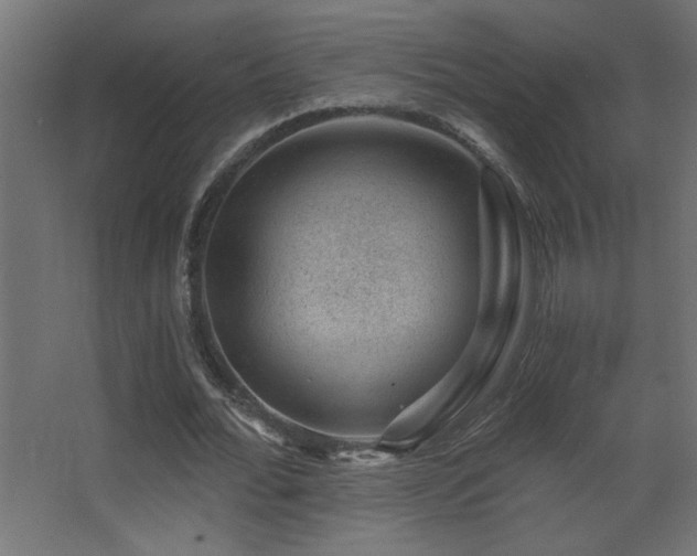 X0000068280676200604211112
