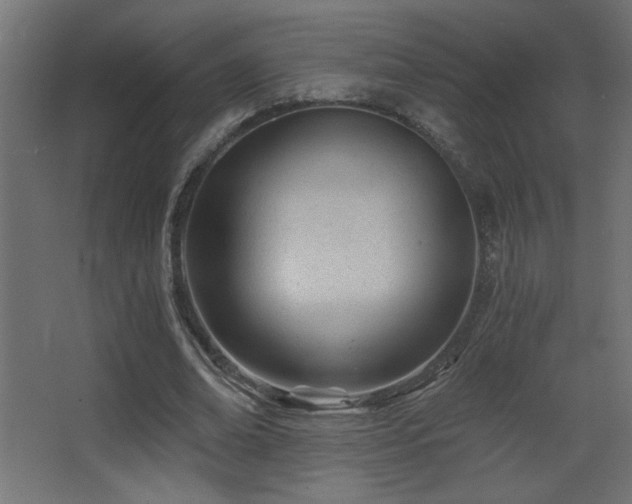 X0000068280678200604211112