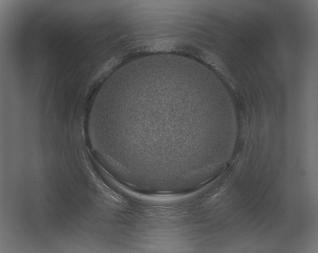 X0000068280681200604211111