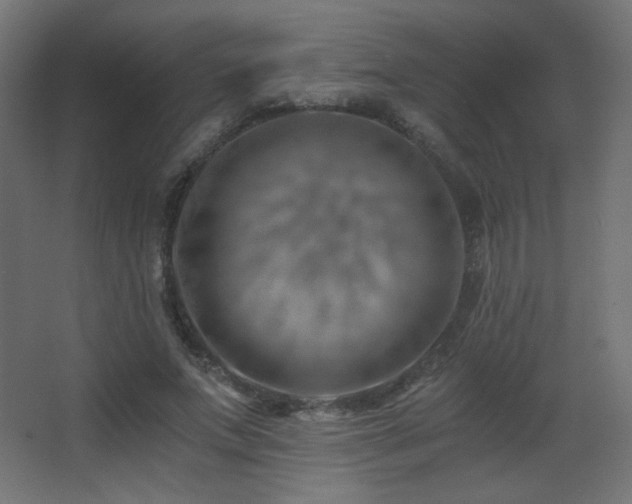 X0000068280687200604211111