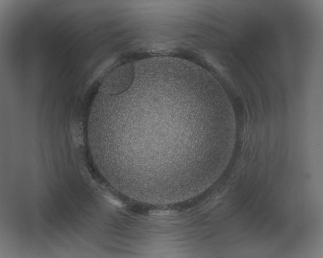 X0000068280689200604211111