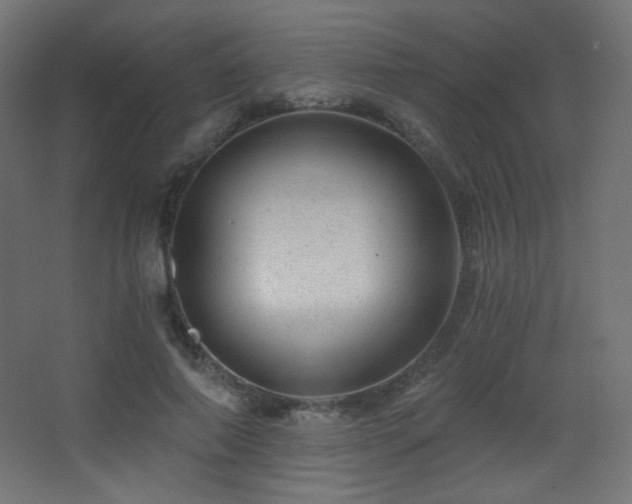 X0000068280690200604211111