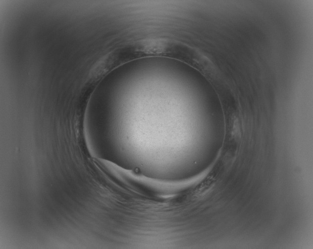 X0000068280697200604211111
