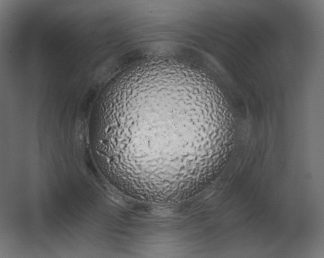 X0000068280701200604211111