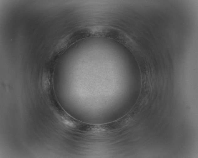 X0000068280702200604211111