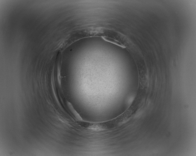X0000068280704200604211111