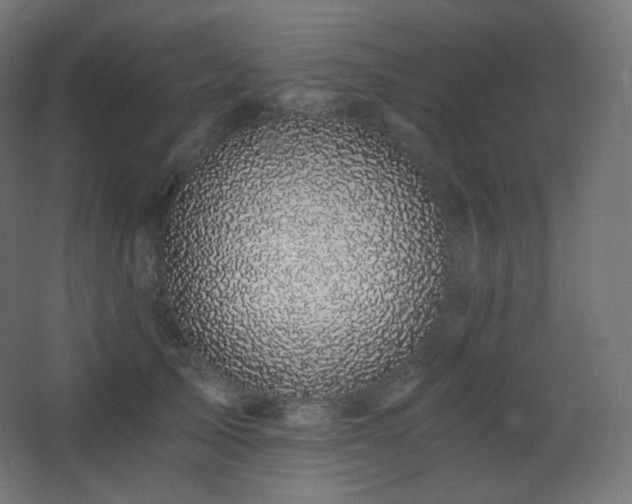 X0000068280705200604211111