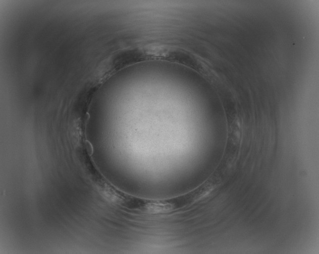 X0000068280707200604211111