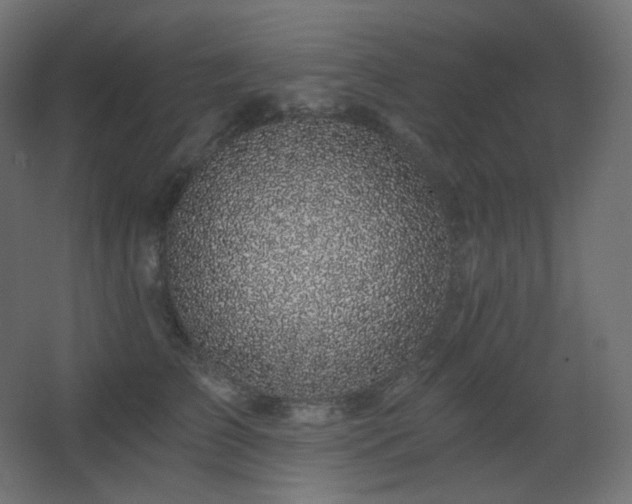 X0000068280709200604211111