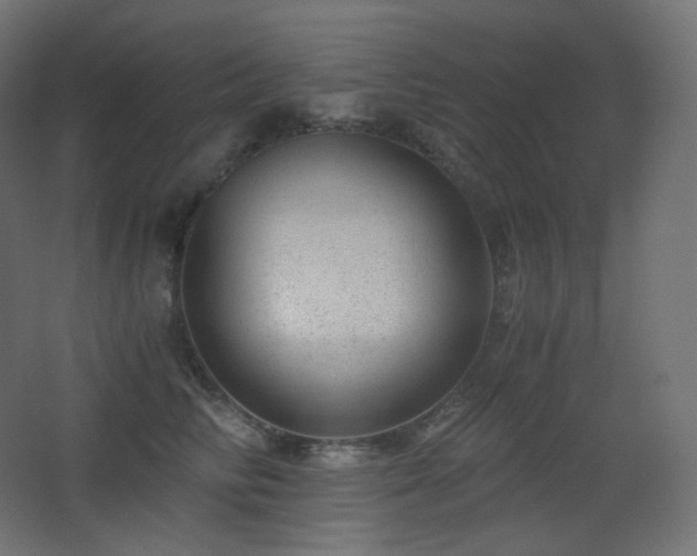 X0000068280710200604211111