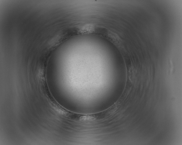 X0000068280714200604211111