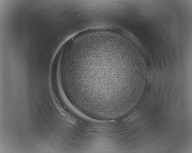 X0000068280724200604211110
