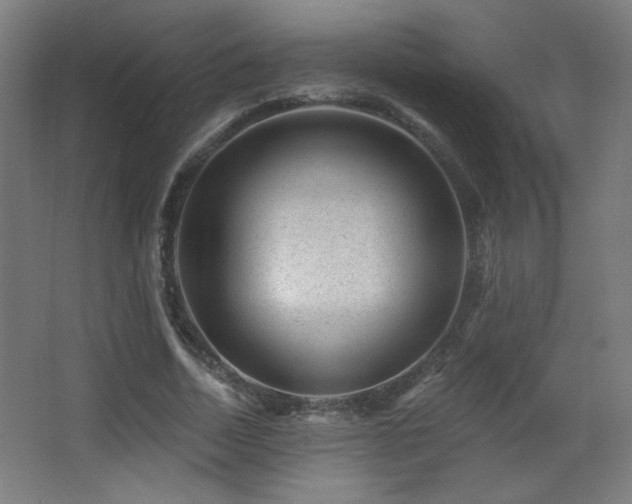 X0000068280730200604211110