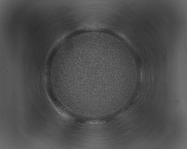X0000068280736200604211110
