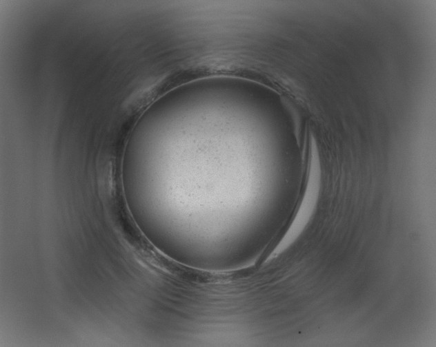 X0000068280740200604211110