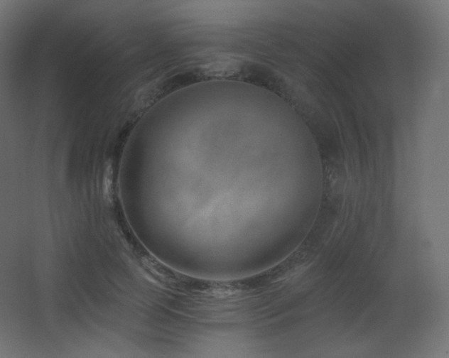 X0000068280745200604211110
