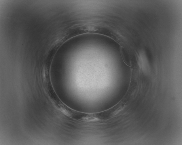 X0000068280747200604211110