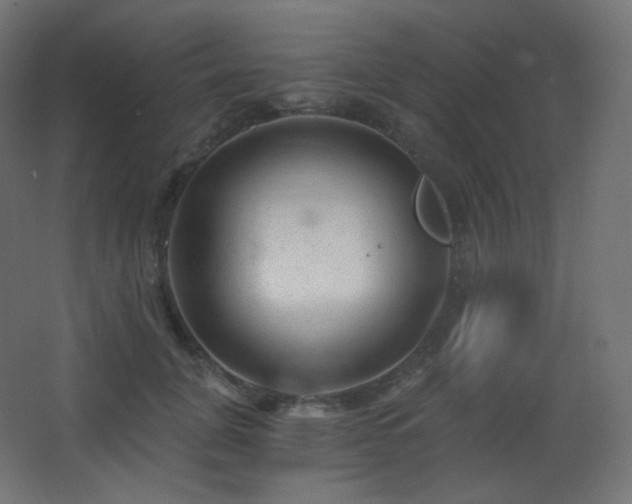 X0000068280751200604211111