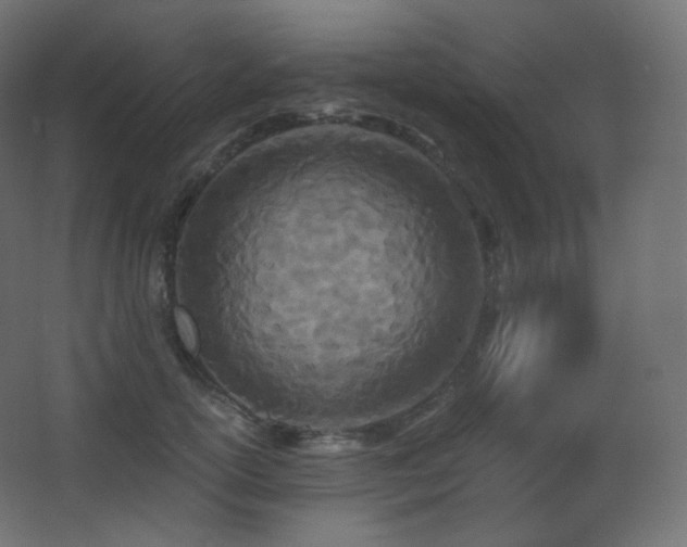 X0000068280754200604211111