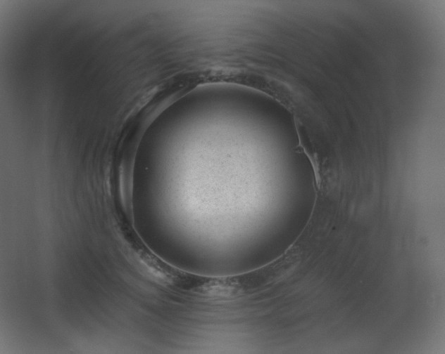 X0000068280756200604211111