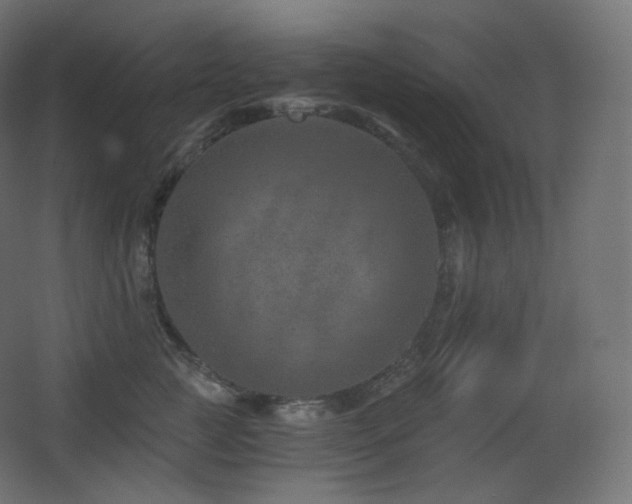 X0000068280761200604211111
