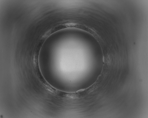 X0000068280763200604211111