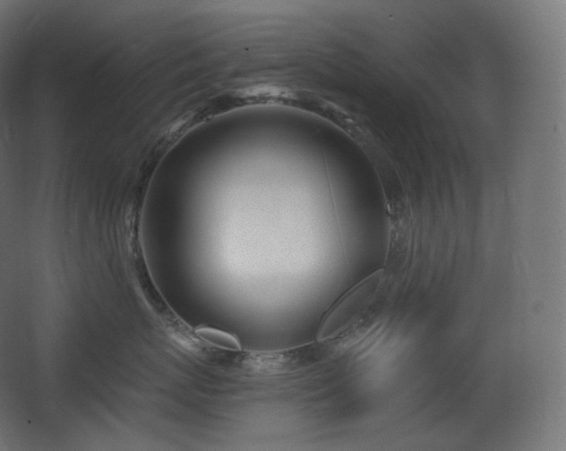X0000068280767200604211111