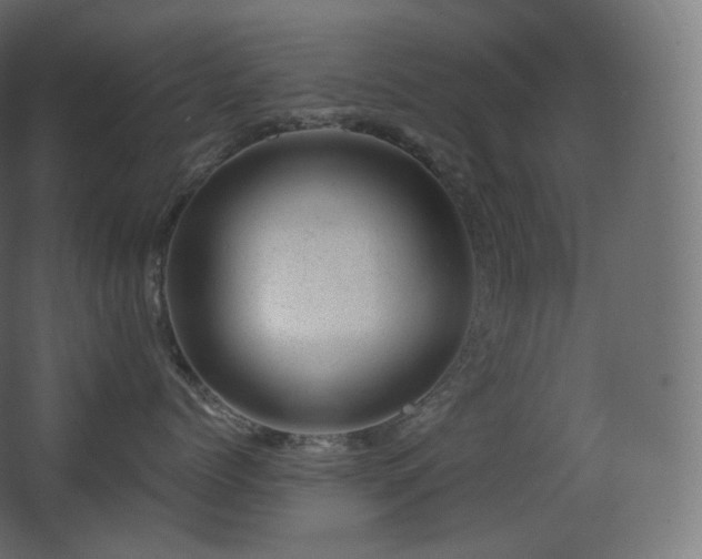 X0000068280768200604211111