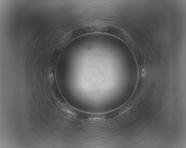 X0000068280771200604211110